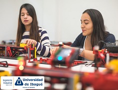 Por medio de la Resolución 11045, expedida este lunes 8 de julio, el Ministerio de Educación confirió la reacreditación en alta calidad por seis años al programa Ingeniería Industrial de la Universidad de Ibagué.